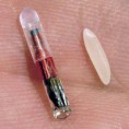 /album/fotogaleria/microchip-3-jpg/